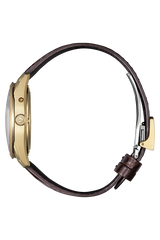 The Citizen AQ4103-16W