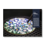 Blackbird Watch Manual Vol.7