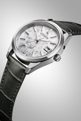 The Citizen AQ4100-22A