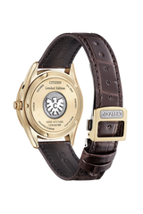 The Citizen AQ4103-16W