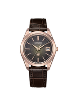 The CITIZEN AQ4106-00W