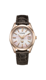 THE CITIZEN AQ4106-00A