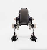 ROBOTOYS ROBOT WATCH STAND, RAPTOR