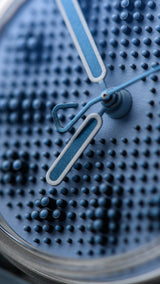 Kollokium Projekt 01 Variant "G" G2