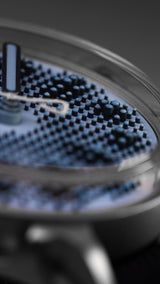 Kollokium Projekt 01 Variant "G" G1